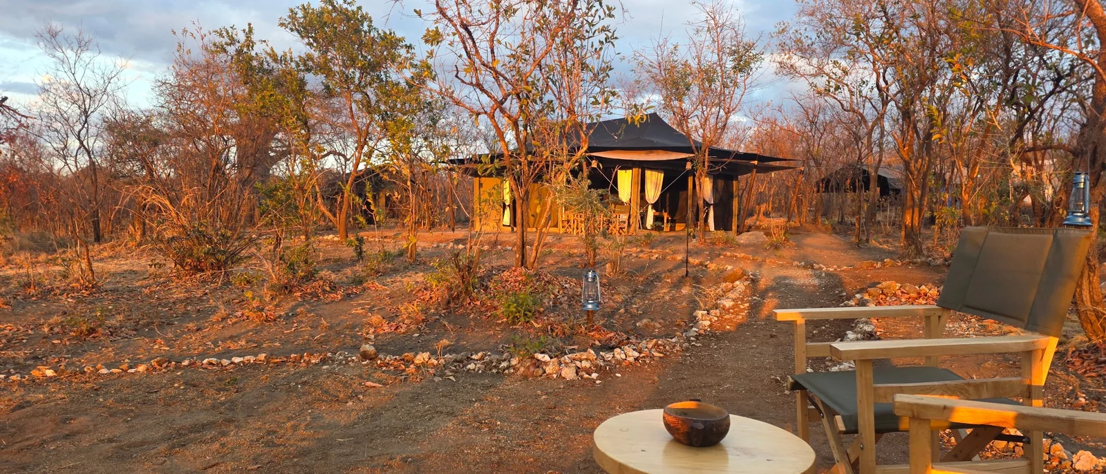 A Kijani guest tent in the late afternoon light, a lantern lit beside the path